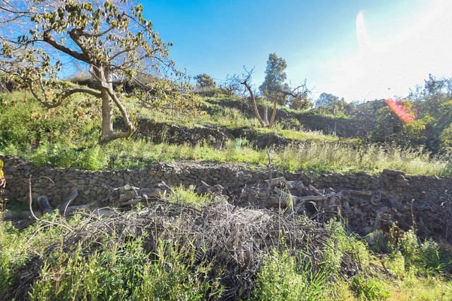 Teren niezagospodarowany na sprzedaż w Torrox - 80 000 € (Ref: 8125061)