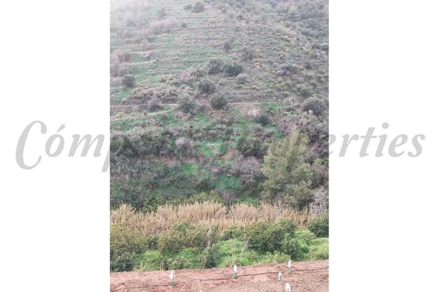 Rakentamaton maa myytävänä paikassa Torrox - 73 000 € (Ref: 8130530)