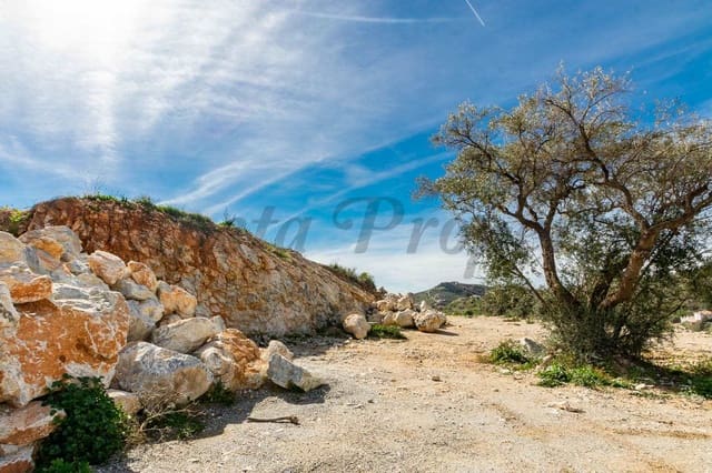 Terreno Non Edificato in vendita in Canillas de Albaida - 62.500 € (Rif: 8132587)