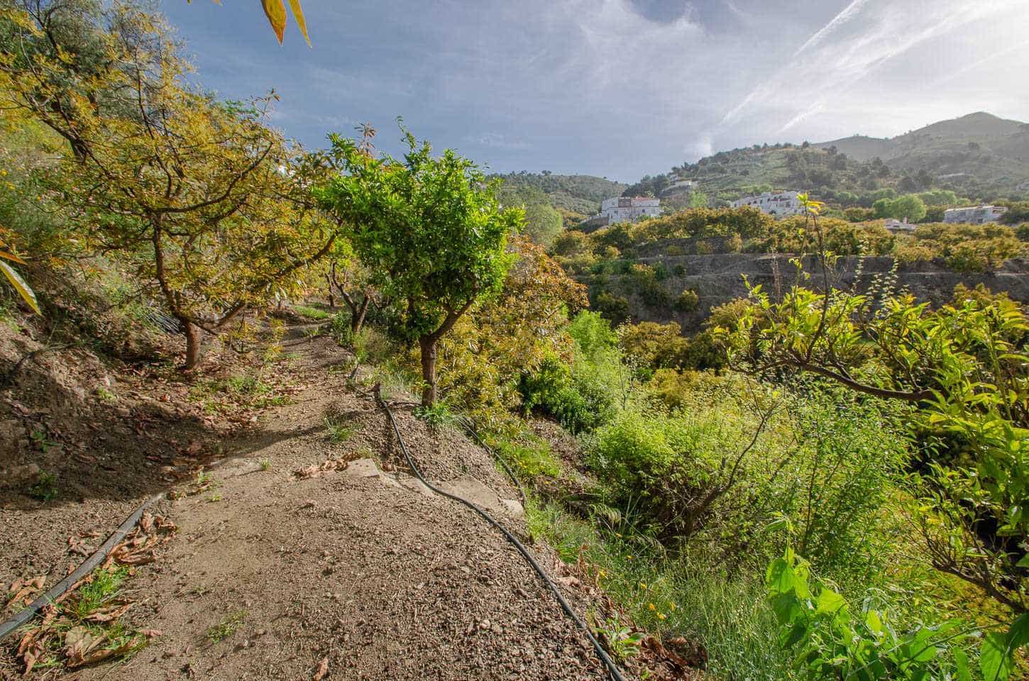 1 sypialnia Finka/Dom wiejski na sprzedaż w Canillas de Albaida - 118 000 € (Ref: 8233560)