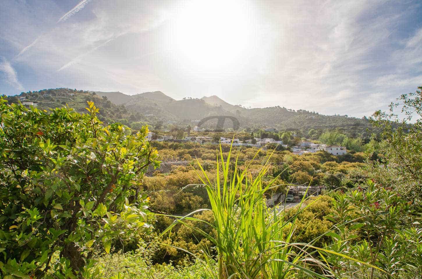 1 sypialnia Finka/Dom wiejski na sprzedaż w Canillas de Albaida - 118 000 € (Ref: 8233560)