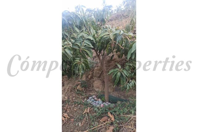 Rakentamaton maa myytävänä paikassa Frigiliana - 90 000 € (Ref: 8429547)