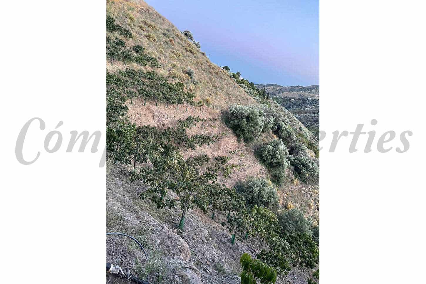 Rakentamaton maa myytävänä paikassa Frigiliana - 90 000 € (Ref: 8429547)