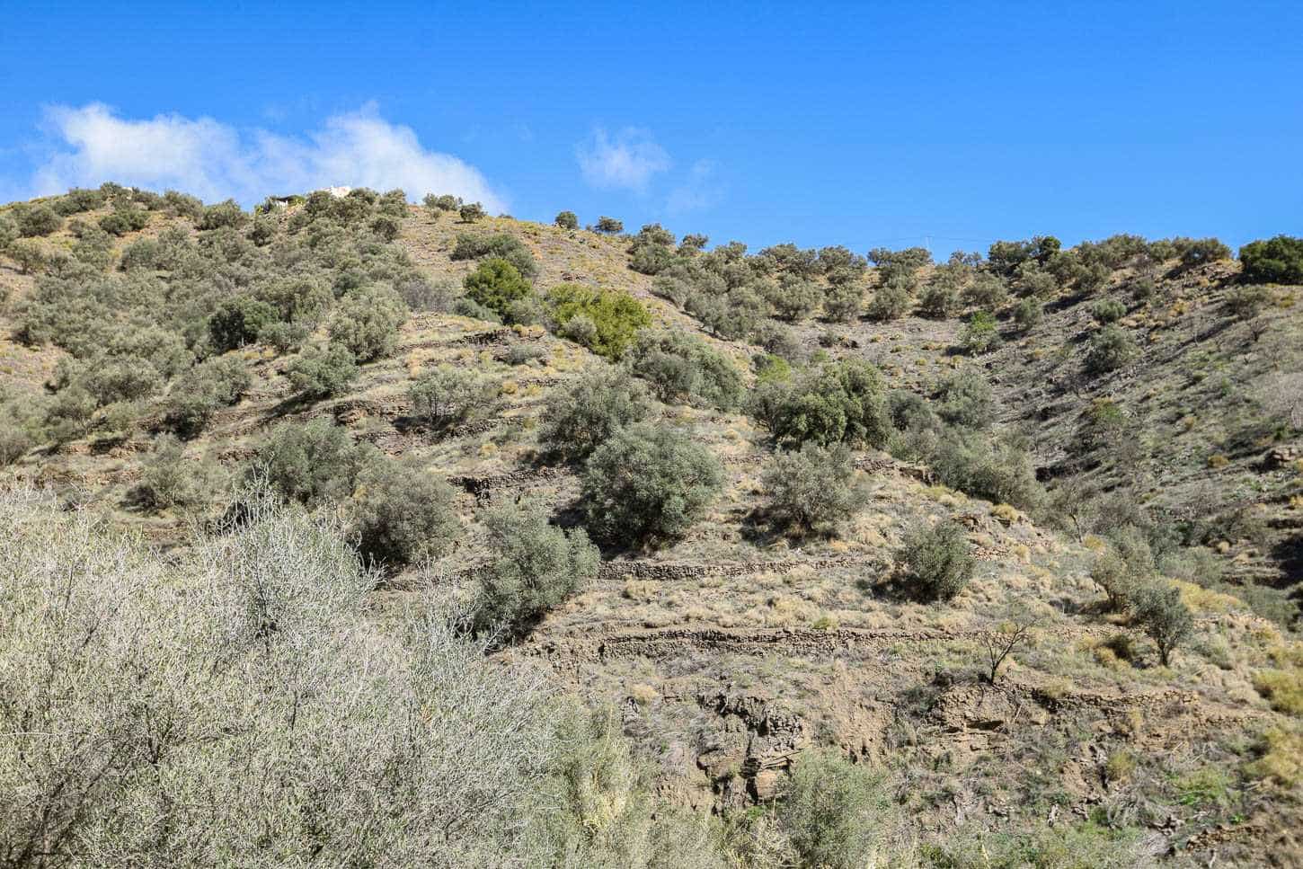 Teren niezagospodarowany na sprzedaż w Torrox - 130 000 € (Ref: 8429760)