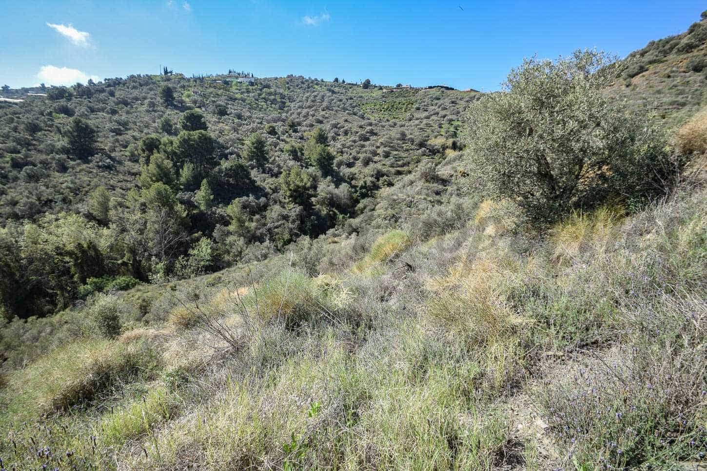 Teren niezagospodarowany na sprzedaż w Torrox - 130 000 € (Ref: 8429760)