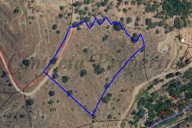 Undeveloped Land for sale in Sayalonga - € 19,500 (Ref: 8431308)