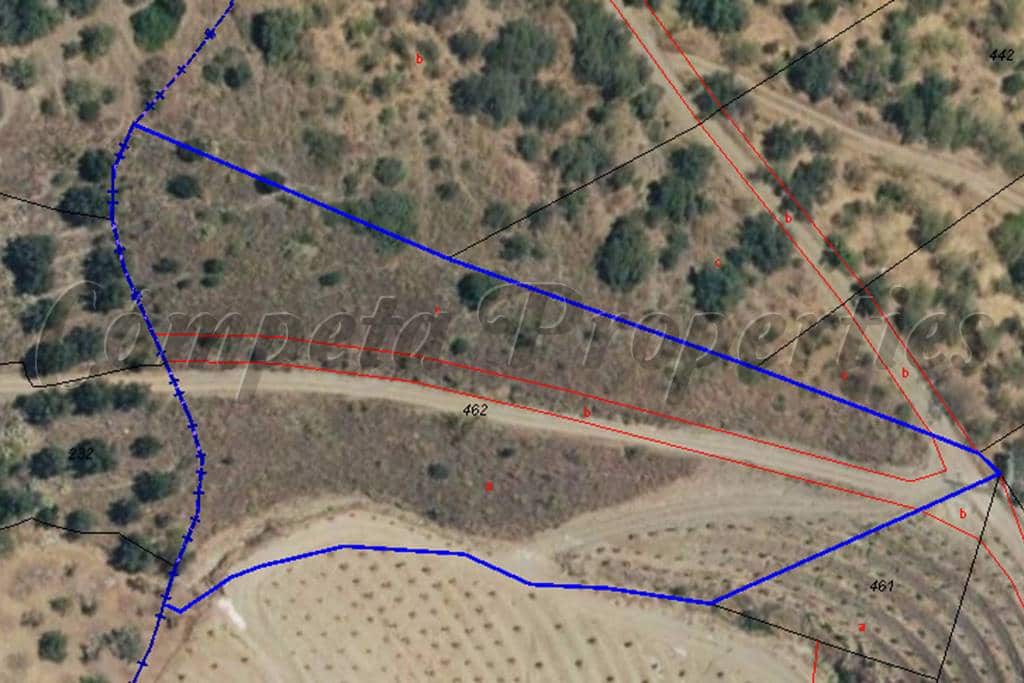 Undeveloped Land for sale in Sayalonga - € 19,500 (Ref: 8431308)