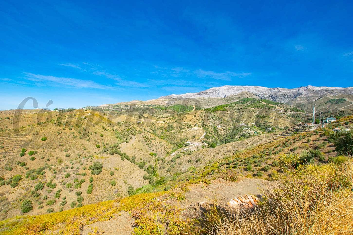 Grunde uden byggetilladelser til salg i Sedella - € 24.000 (Ref: 8431618)