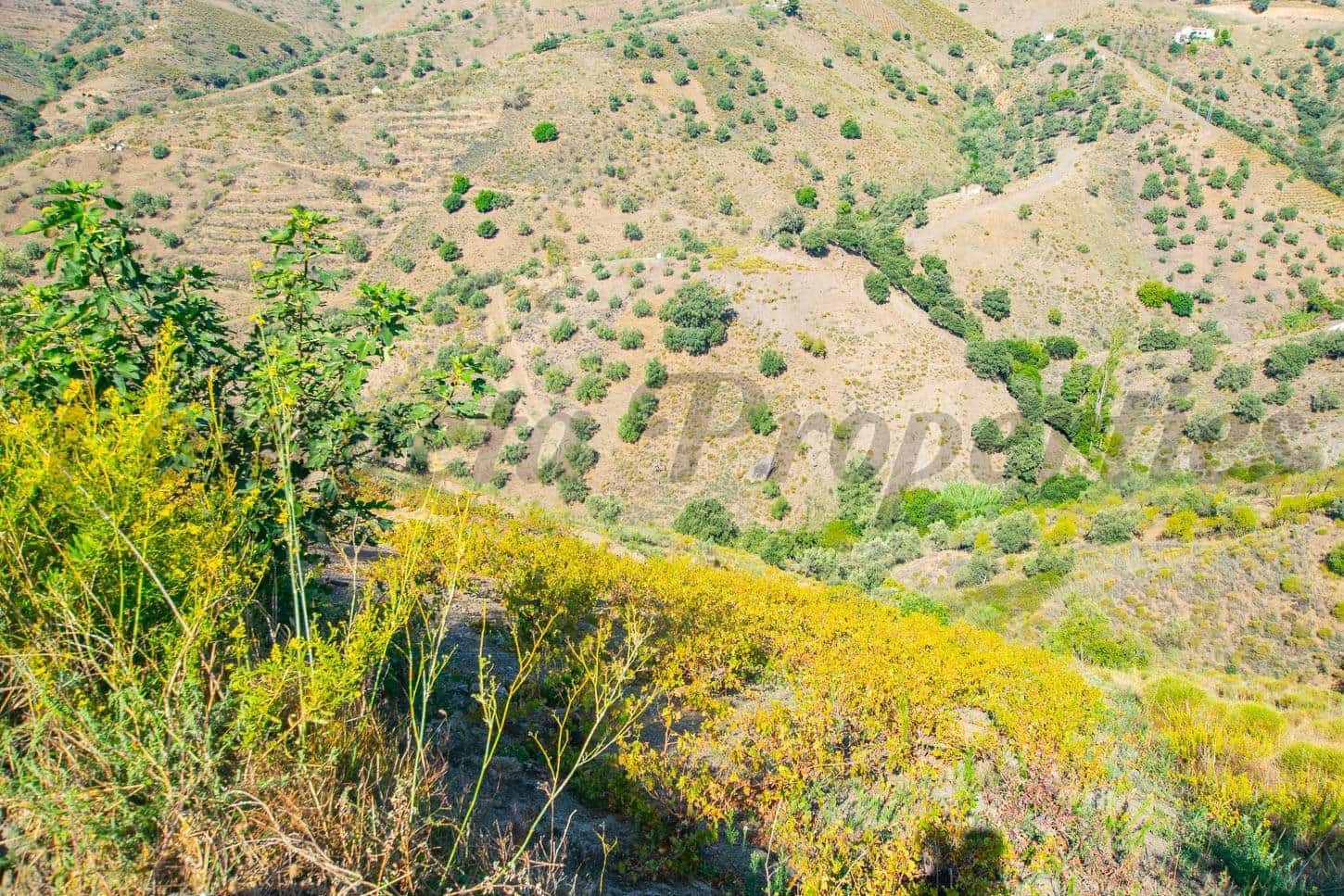 Grunde uden byggetilladelser til salg i Sedella - € 24.000 (Ref: 8431618)