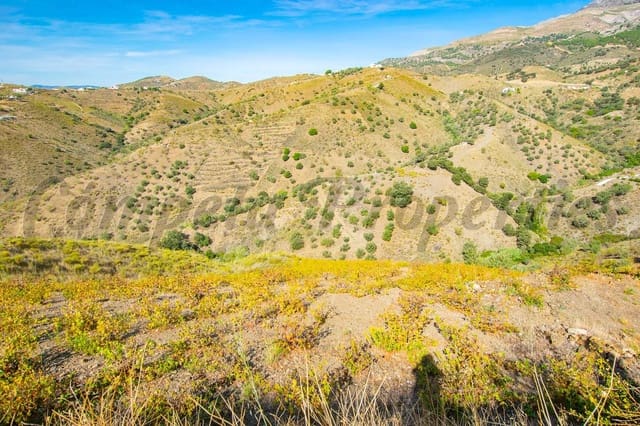 Undeveloped Land for sale in Sedella - € 24,000 (Ref: 8431618)