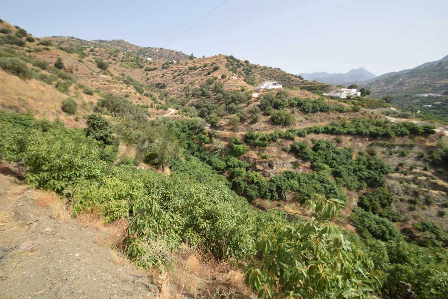 Grond te koop in Torrox - € 77.500 (Ref: 8444193)