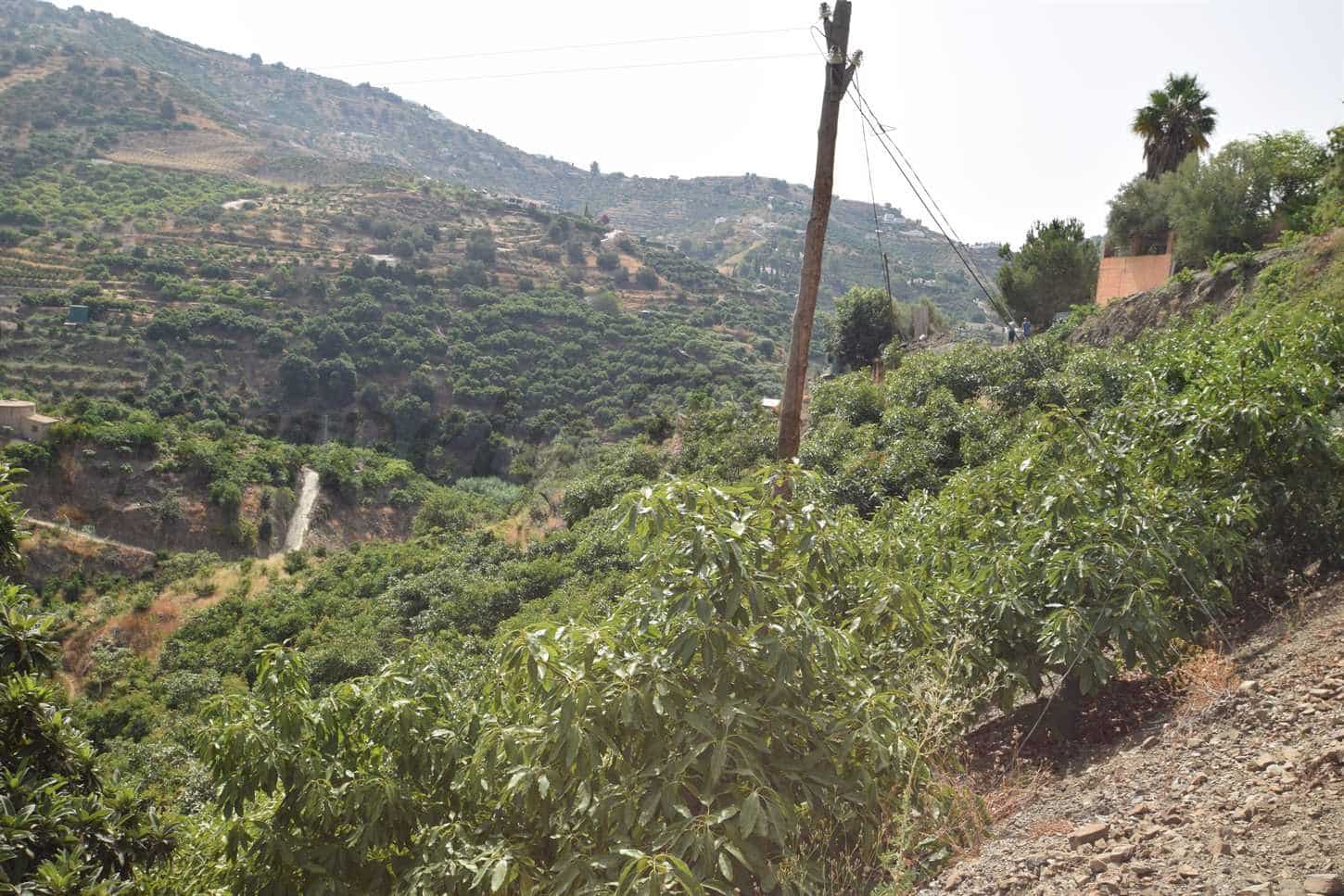 Grond te koop in Torrox - € 77.500 (Ref: 8444193)