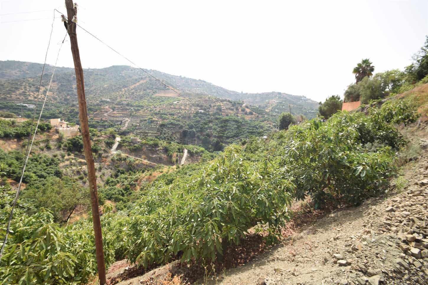 Grond te koop in Torrox - € 77.500 (Ref: 8444193)