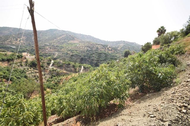 Grond te koop in Torrox - € 77.500 (Ref: 8444193)