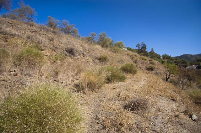 Undeveloped Land for sale in Cómpeta - € 56,000 (Ref: 8446111)