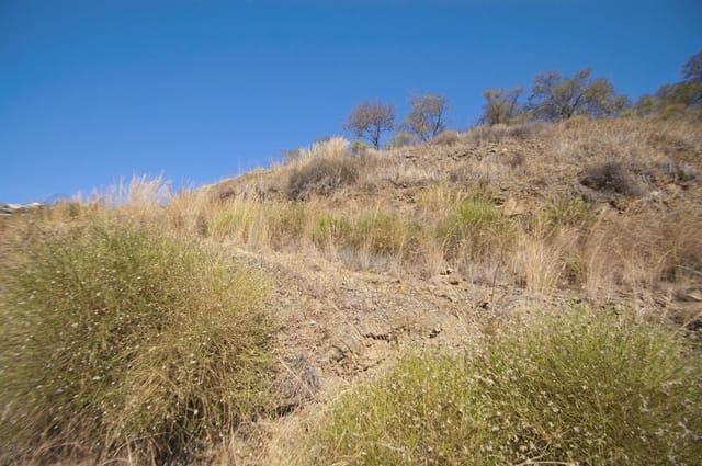 Undeveloped Land for sale in Cómpeta - € 56,000 (Ref: 8446111)