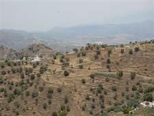 Grond te koop in Sedella - € 388.000 (Ref: 8494395)