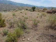 Grond te koop in Sedella - € 388.000 (Ref: 8494395)