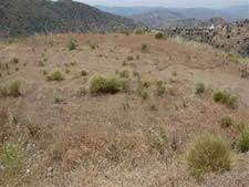 Grond te koop in Sedella - € 388.000 (Ref: 8494395)