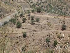 Undeveloped Land for sale in Sedella - € 388,000 (Ref: 8494395)