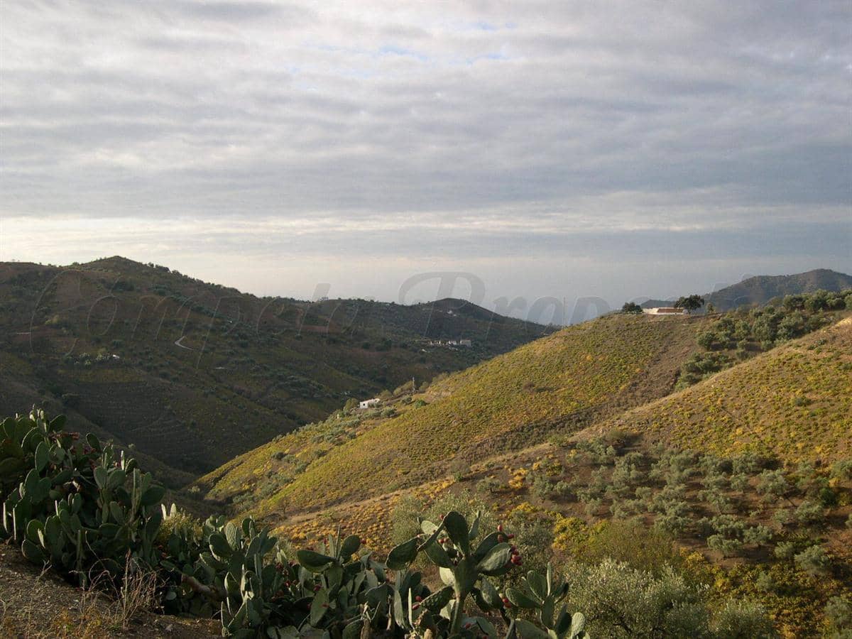 Grunde uden byggetilladelser til salg i Canillas de Albaida - € 372.000 (Ref: 8494410)