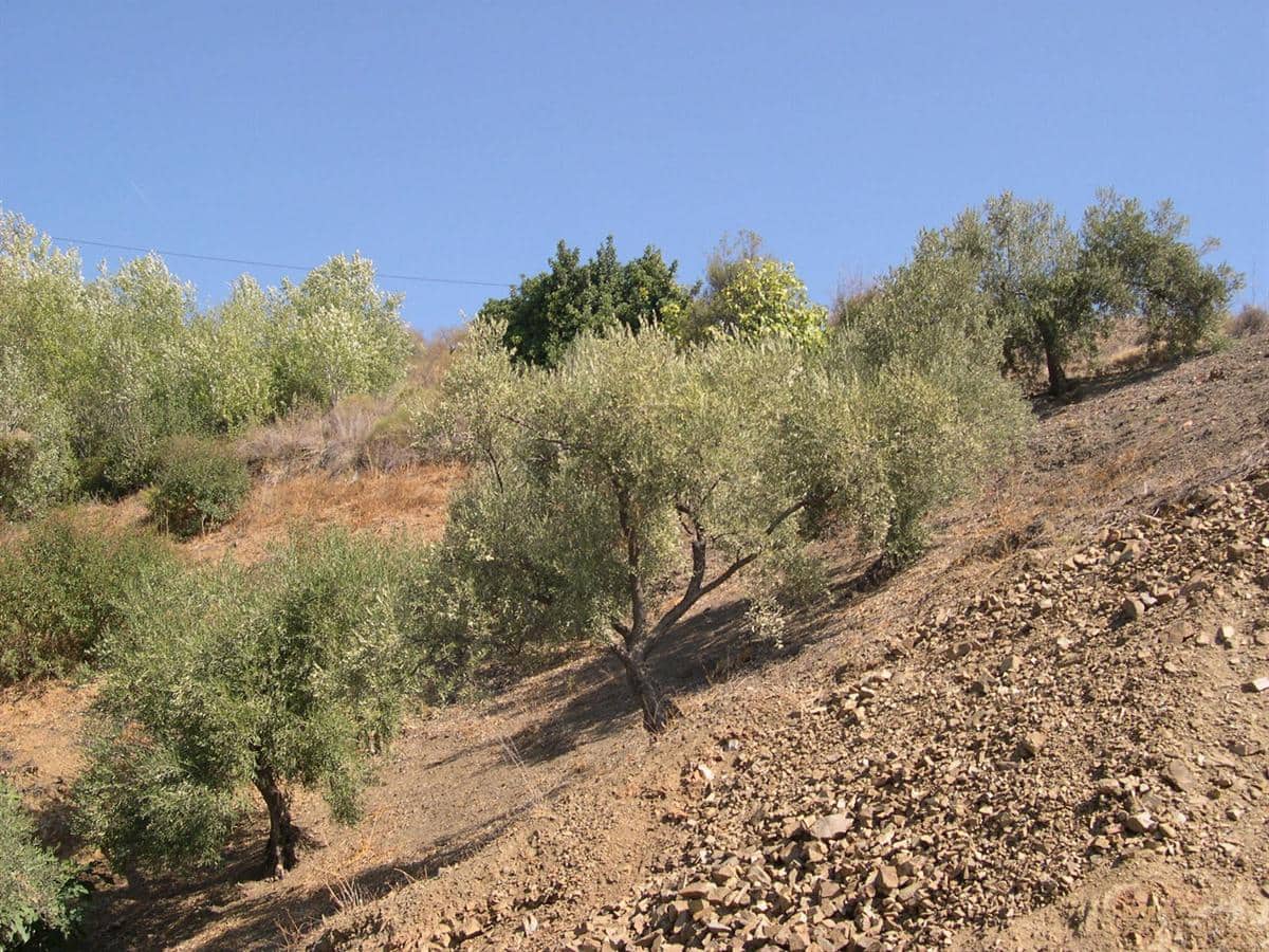 Grunde uden byggetilladelser til salg i Canillas de Albaida - € 372.000 (Ref: 8494410)