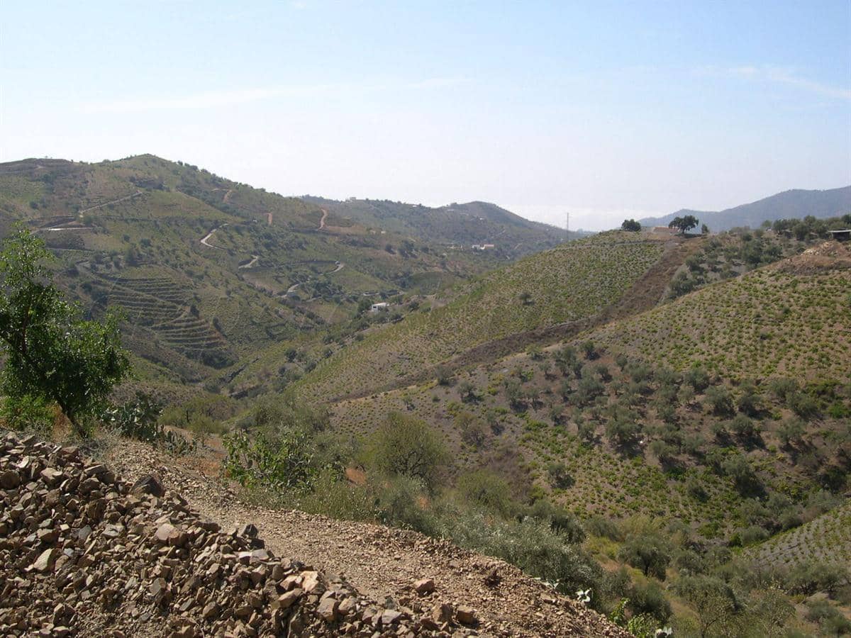 Grunde uden byggetilladelser til salg i Canillas de Albaida - € 372.000 (Ref: 8494410)