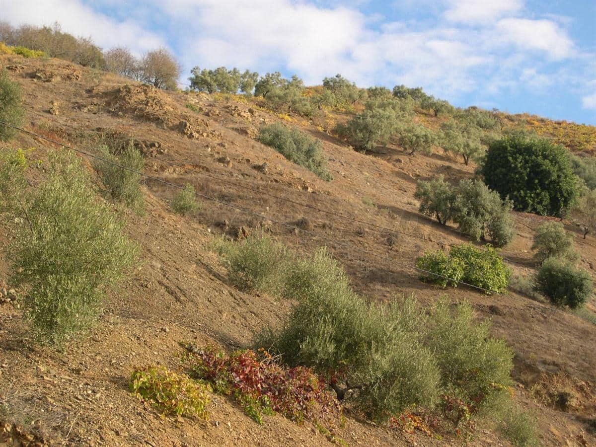 Grunde uden byggetilladelser til salg i Canillas de Albaida - € 372.000 (Ref: 8494410)