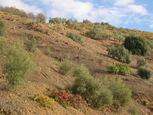 Terreno Non Edificato in vendita in Canillas de Albaida - 372.000 € (Rif: 8494410)