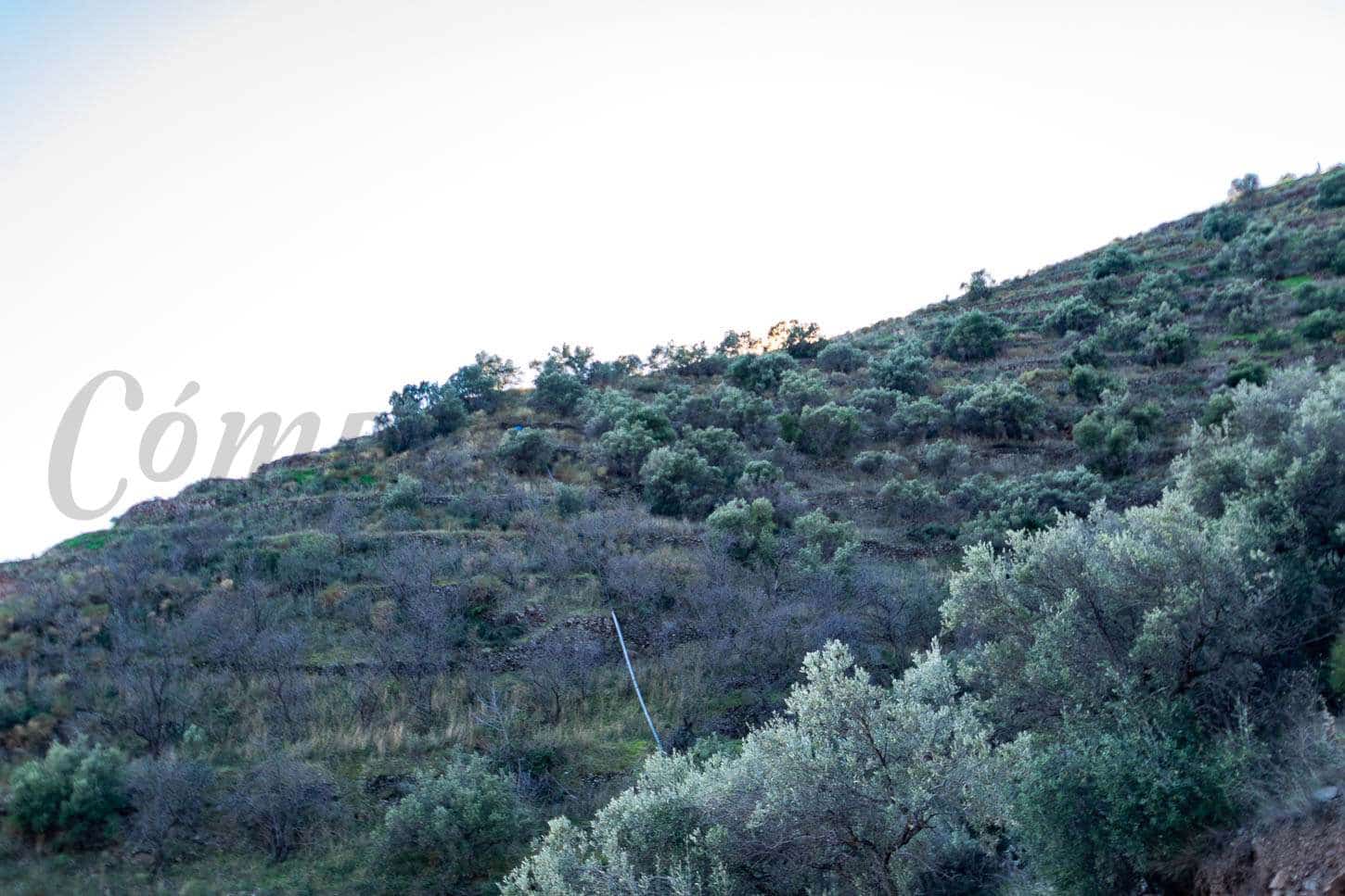 Rakentamaton maa myytävänä paikassa Torrox - 245 000 € (Ref: 8494440)