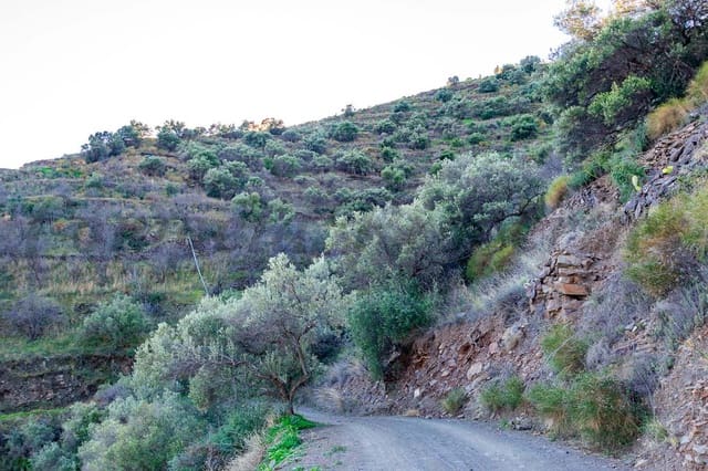 Rakentamaton maa myytävänä paikassa Torrox - 245 000 € (Ref: 8494440)