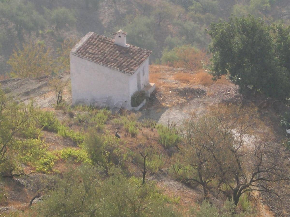 Grunde uden byggetilladelser til salg i Sedella - € 210.000 (Ref: 8494441)