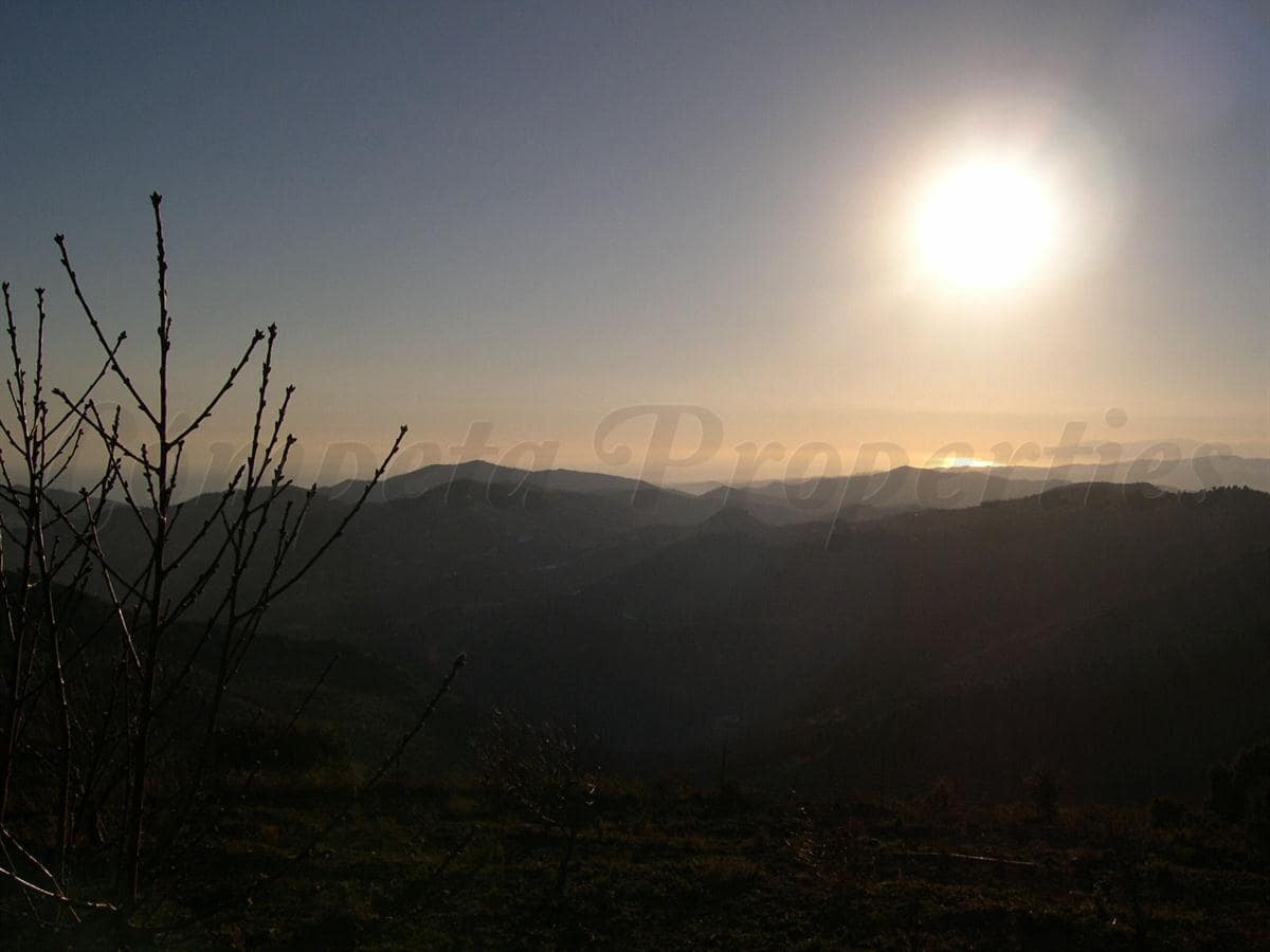 Grunde uden byggetilladelser til salg i Canillas de Albaida - € 198.000 (Ref: 8494442)