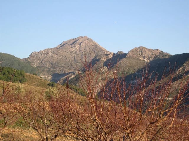 Terreno Non Edificato in vendita in Canillas de Albaida - 198.000 € (Rif: 8494442)