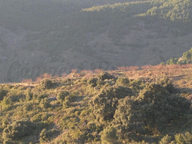 Terreno Non Edificato in vendita in Canillas de Albaida - 198.000 € (Rif: 8494442)