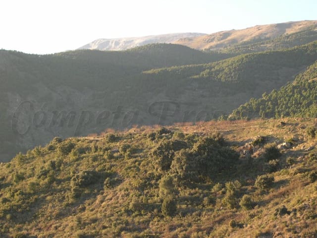 Terreno Non Edificato in vendita in Canillas de Albaida - 198.000 € (Rif: 8494442)