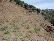 Terreno Não Urbanizado para venda em Arenas - 129 000 € (Ref: 8494446)