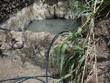 Grunde uden byggetilladelser til salg i Arenas - € 129.000 (Ref: 8494446)