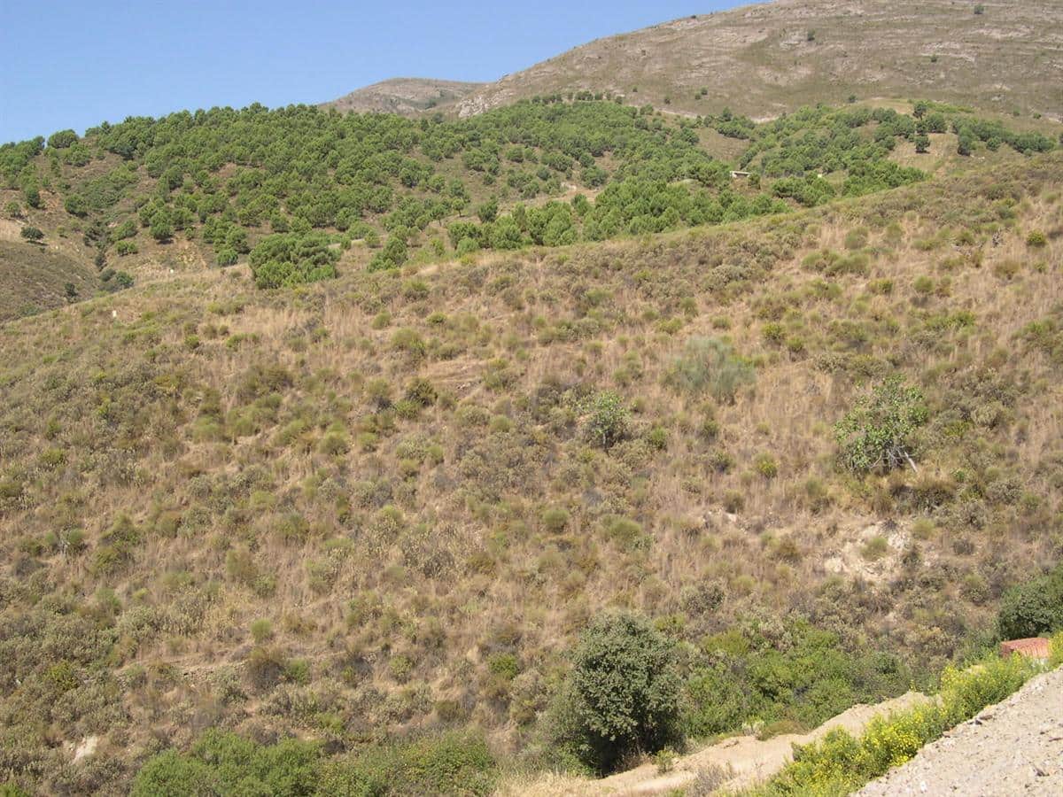 Grunde uden byggetilladelser til salg i Sedella - € 107.000 (Ref: 8500793)