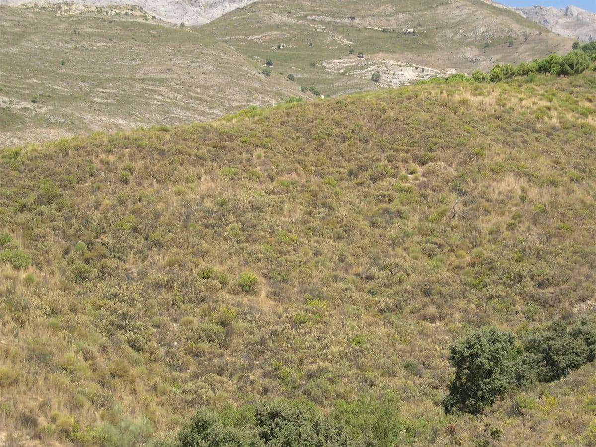 Grunde uden byggetilladelser til salg i Sedella - € 107.000 (Ref: 8500793)