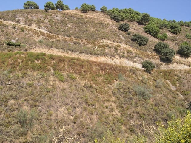 Undeveloped Land for sale in Sedella - € 107,000 (Ref: 8500793)