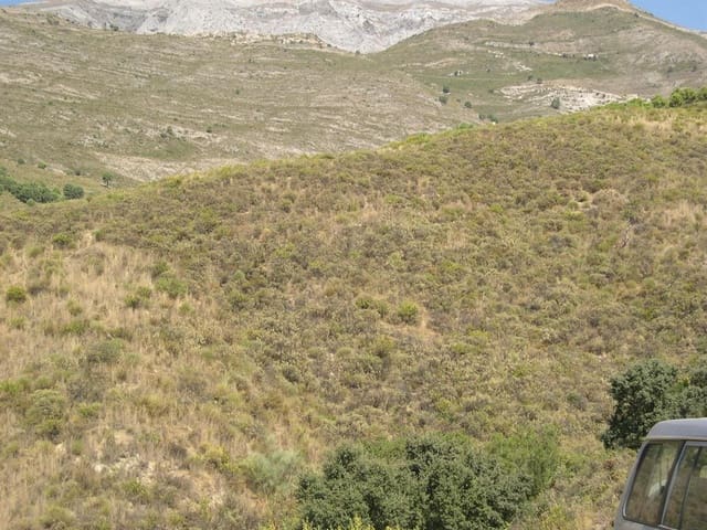 Undeveloped Land for sale in Sedella - € 107,000 (Ref: 8500793)