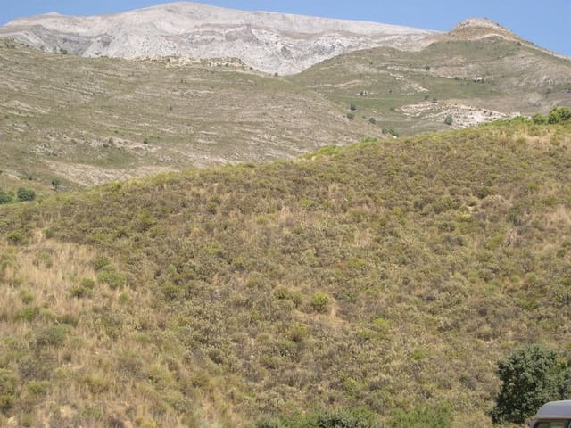 Undeveloped Land for sale in Sedella - € 107,000 (Ref: 8500793)
