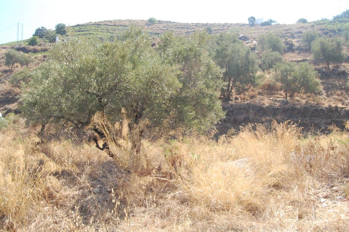 Grunde uden byggetilladelser til salg i Competa - € 99.000 (Ref: 8500795)