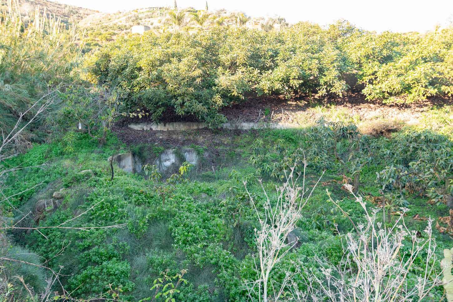 Grond te koop in Torrox - € 91.000 (Ref: 8500813)