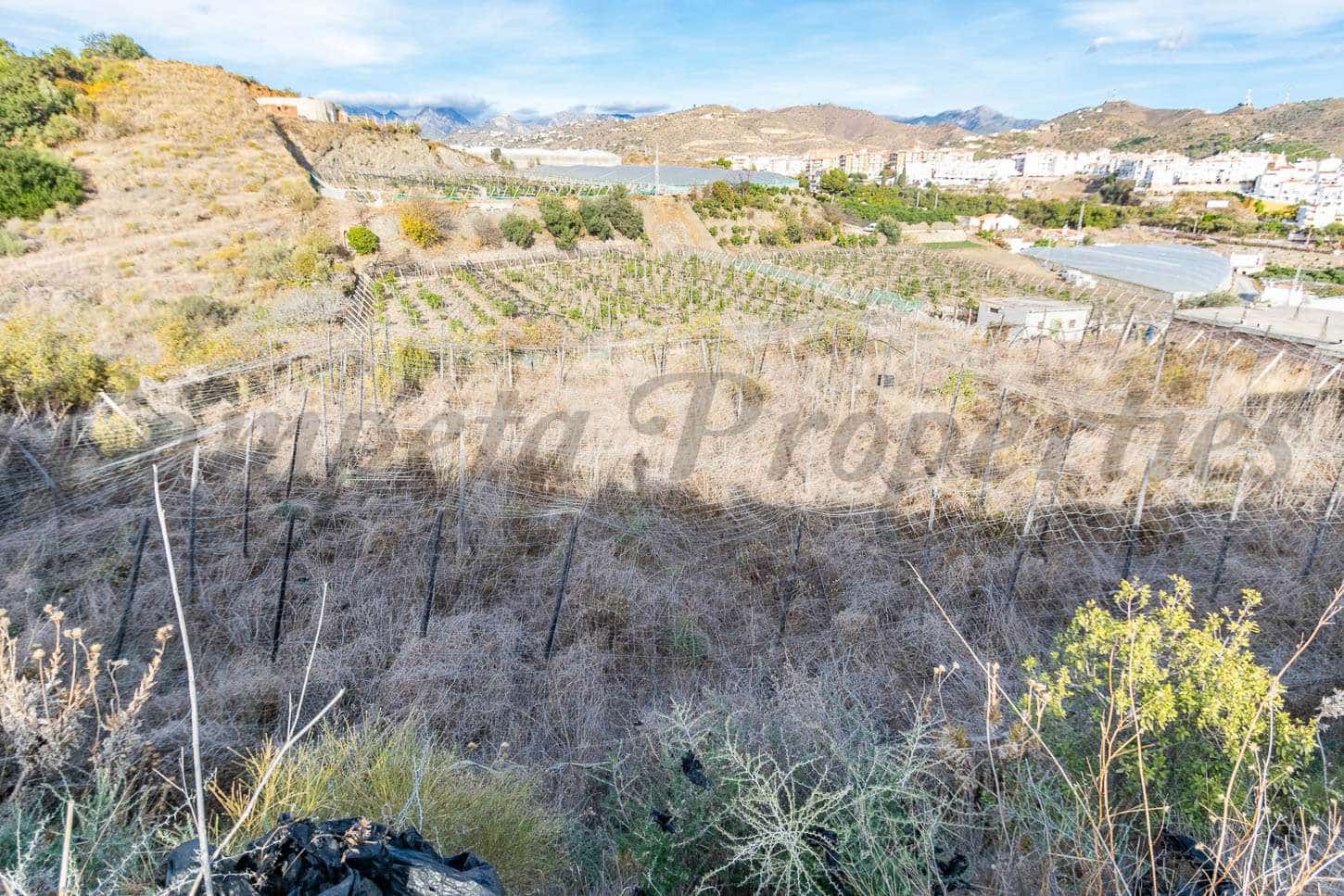 Mark till salu i Torrox - 87 000 € (Ref: 8500871)