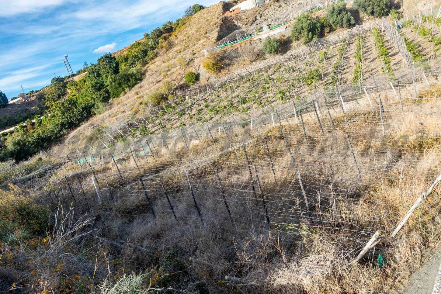 Mark till salu i Torrox - 87 000 € (Ref: 8500871)