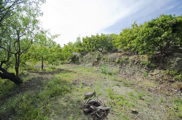 Finca/Landehus til salg i Canillas de Albaida - € 80.000 (Ref: 8534911)