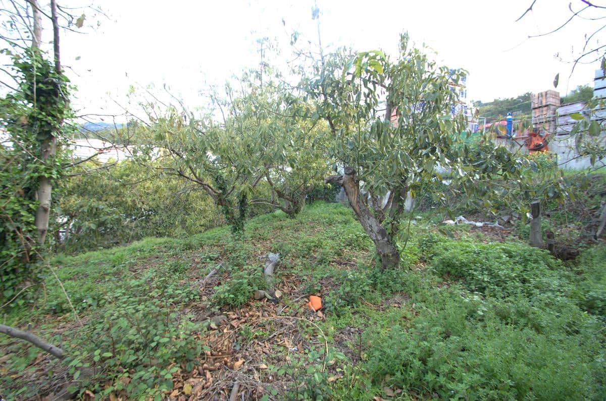 Grunde uden byggetilladelser til salg i Canillas de Albaida - € 77.000 (Ref: 8534915)