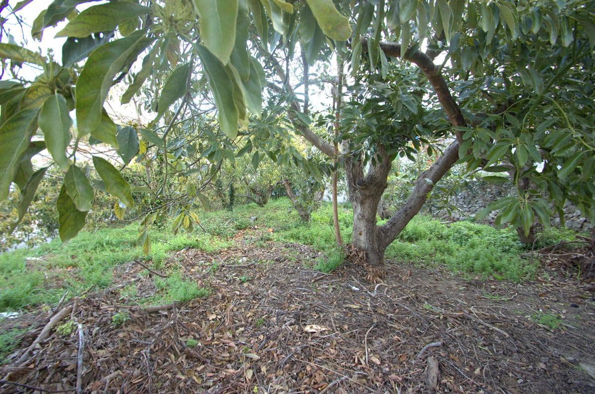 Grunde uden byggetilladelser til salg i Canillas de Albaida - € 77.000 (Ref: 8534915)